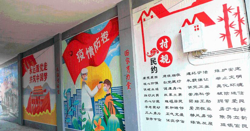植物大战僵尸10